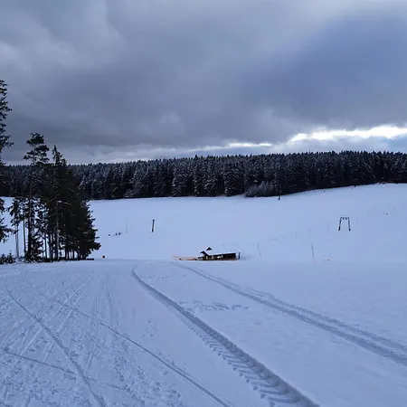 Appartement Schwarzwaldperle *