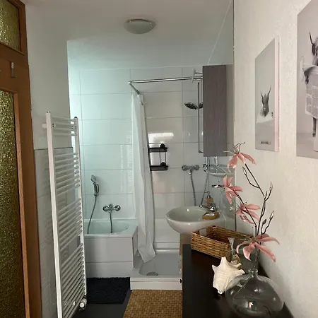 Appartement Schwarzwaldperle *