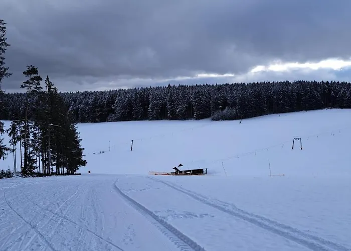 アパート Schwarzwaldperle *